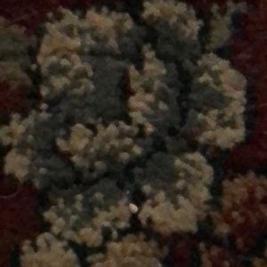 Meet your Posher, Cheri